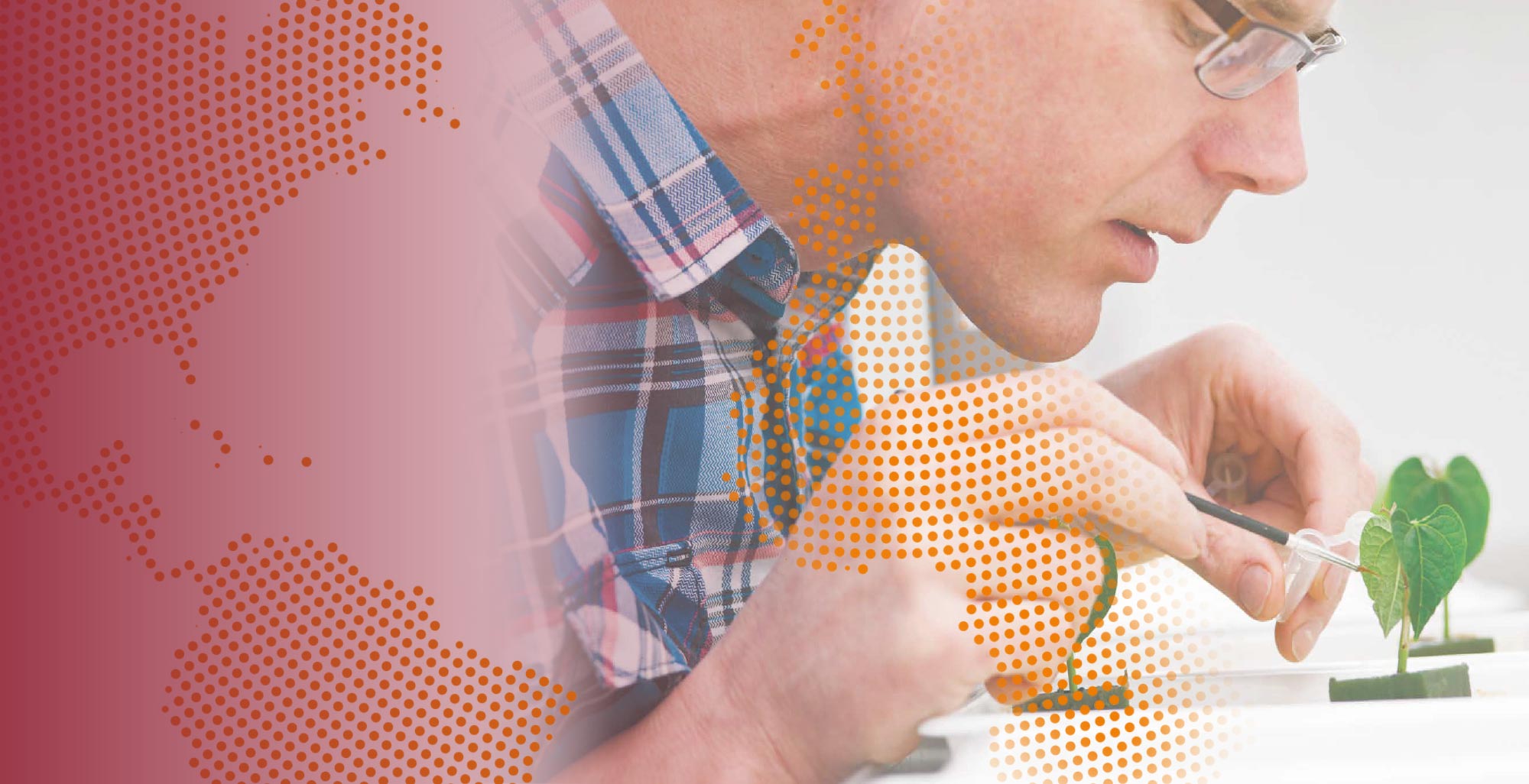 Opinie: Zorg voor een nationaal campusbeleid om Nederland innovatief te houden