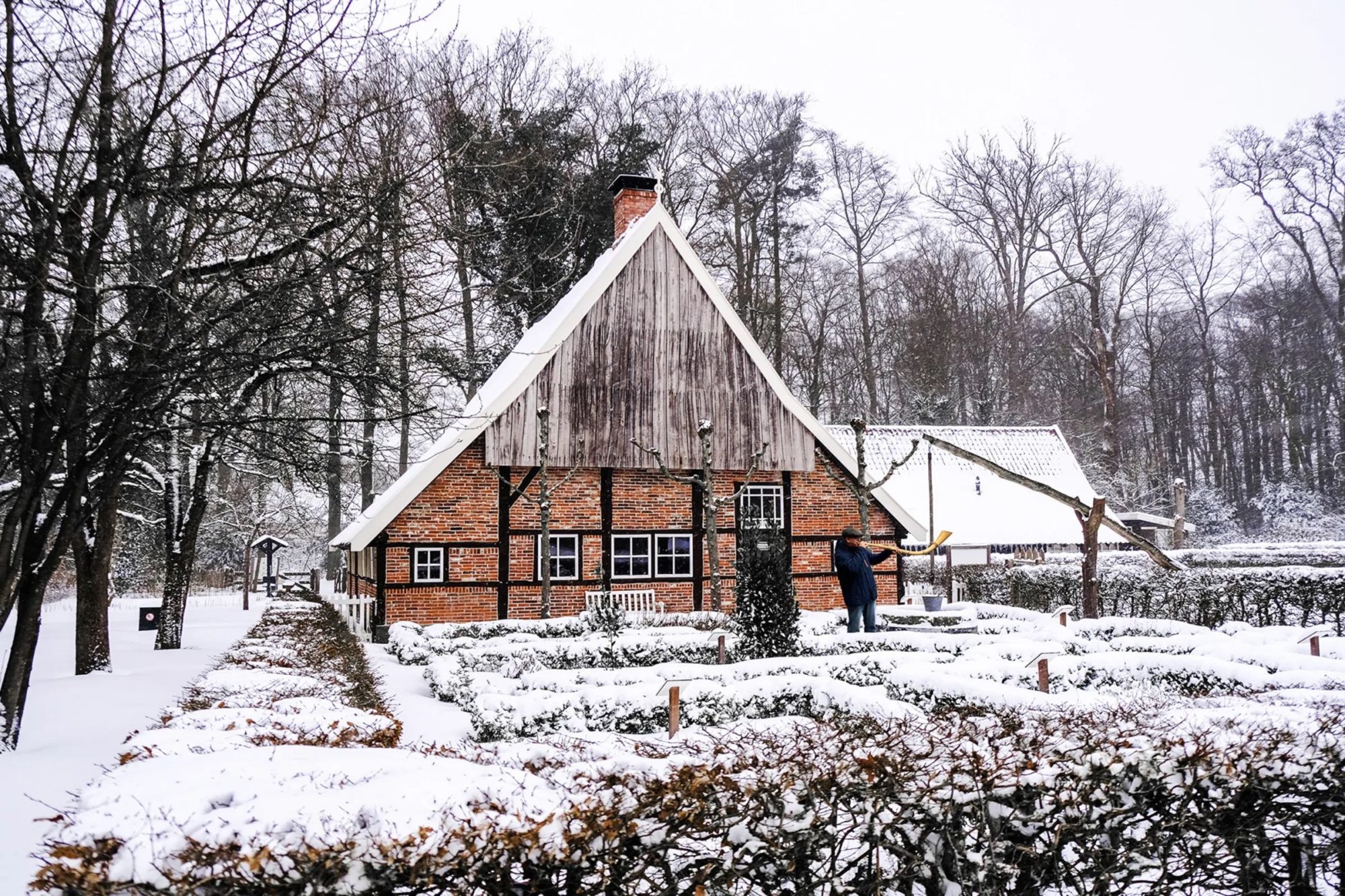 Twentse Midwinterhoornwandeling
