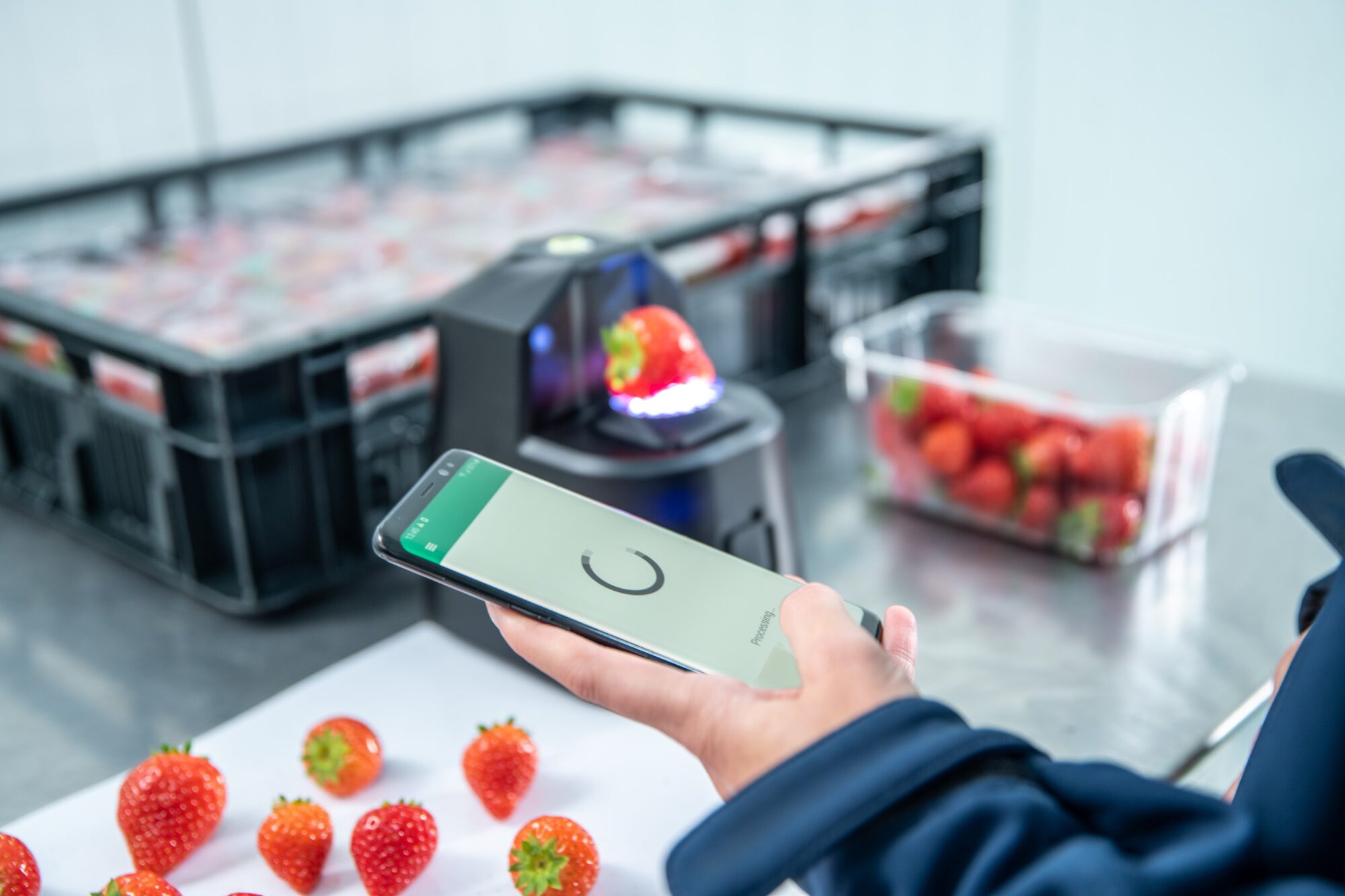 Bakker Barendrecht Deploys OneThird’s AI-Powered Produce Scanners to Put an End to Wasted Strawberries